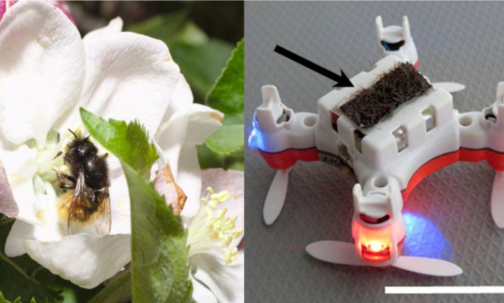 Straks robotbijen in plaats van insecten?