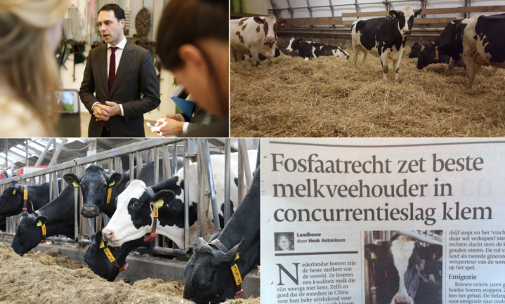 Nederlandse melkboer krijgt Dijksma’s billenkoek van Van Dam