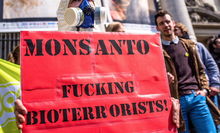 ‘GMO beestenvoer is wél veilig en voedzaam’