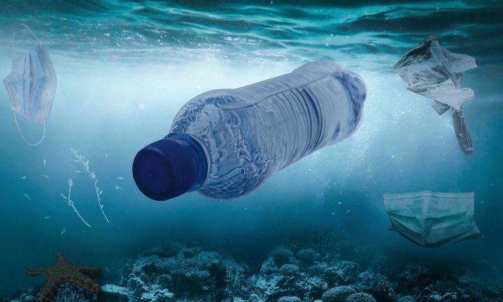 Plastic afval brengt kleine kustdieren ver van huis