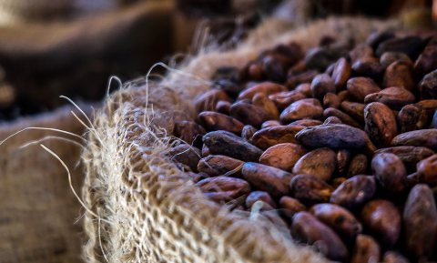 Cacaoprijs duikt naar beneden, markt schommelt enorm