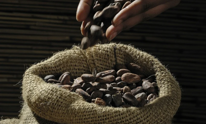 China exporteert cacao naar België
