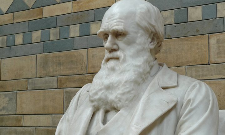 ‘Darwin had gelijk’
