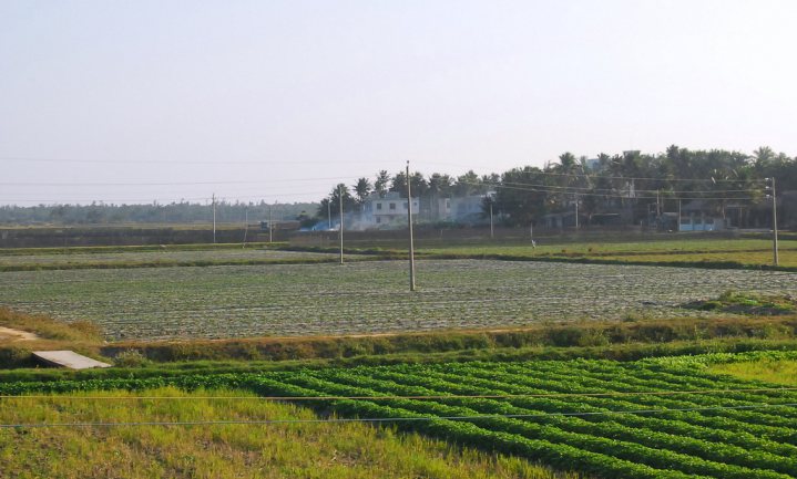 Beijing vermoedelijk op zoek naar 71 miljoen hectare landbouwgrond