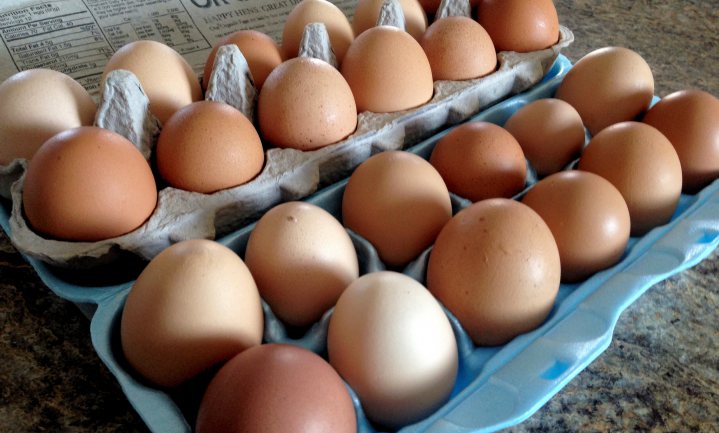 Verdubbeling eierprijs VS zelfs merkbaar in inflatiecijfer