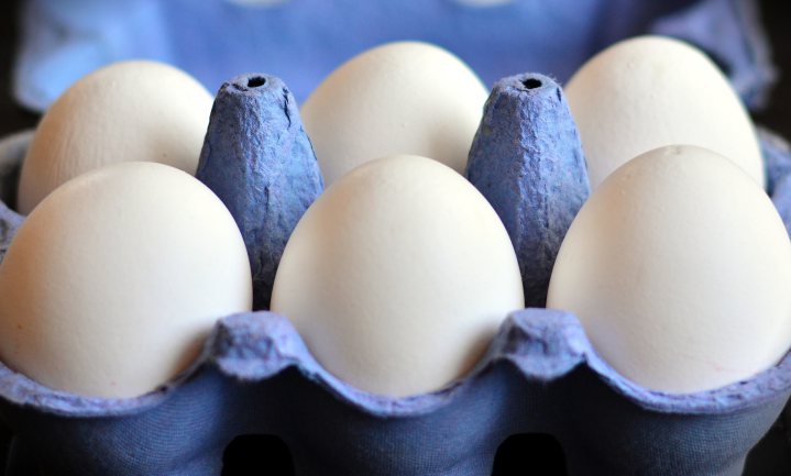 Duurzame eieren zijn wit