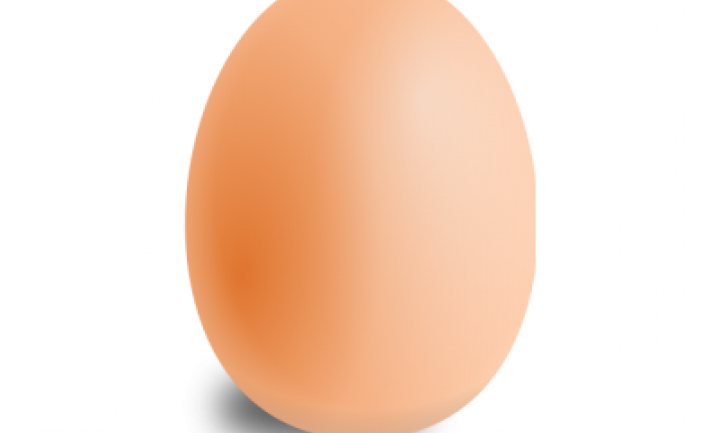 Foto van Eugene het ei is wereldnieuws