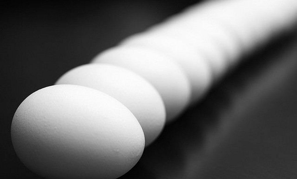 Fipronilcrisis brengt eierbrekerijen in het nauw