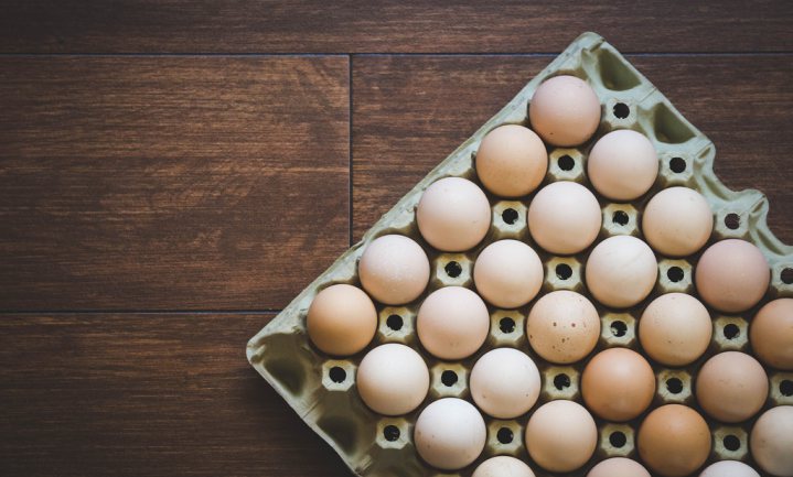Sssshht, eierhandelaren claimen fipronilschade bij kippenhouders