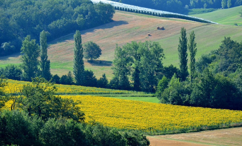 Frankrijk probeert voor de derde keer pesticidengebruik terug te dringen