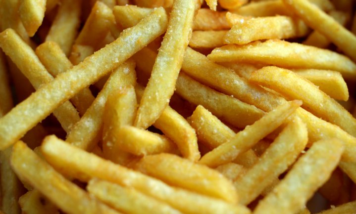 Nieuwe frituurlijn maakt Belgische friet nog lekkerder en gezonder
