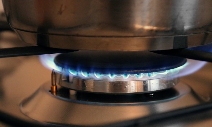 Commissie Remkes wil langer aan het gas en stoppen met subsidie op gebruik van biomassa