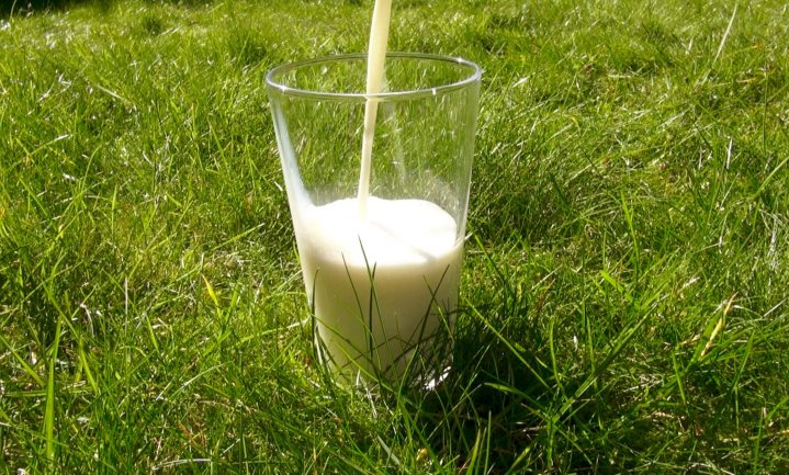 Campina komt met nieuwe melk ‘Actieve Dag’