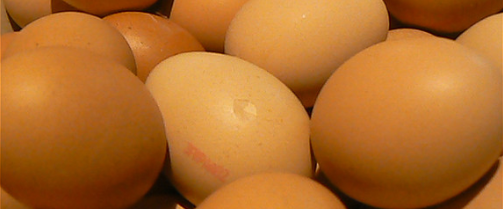 Wegens goedkoopte verdwenen: eieren