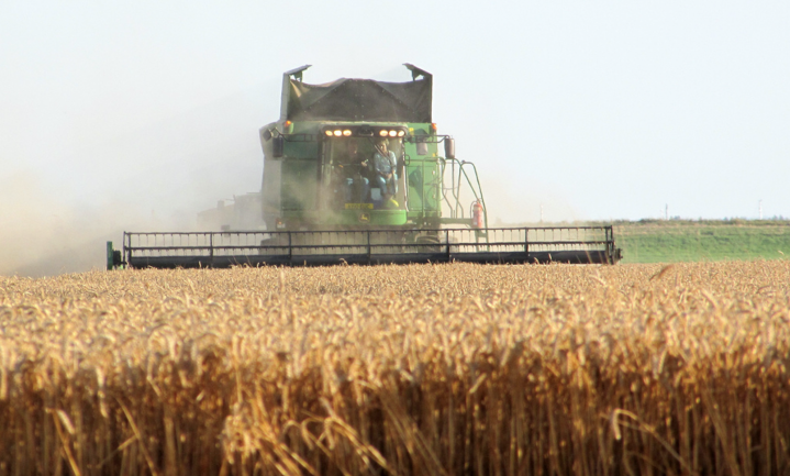FAO maakt zich geen zorgen over krimpende voorraden graanschuren