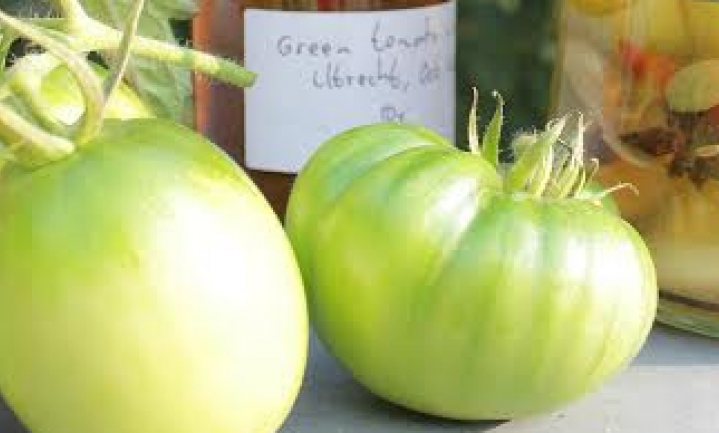 Groene tomaten - II