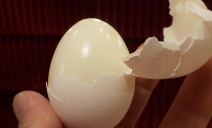 Een ei hoort erbij, ook voor veganisten