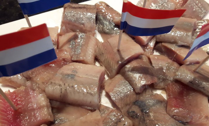 ‘Liever vismeel dan Hollandse Nieuwe’