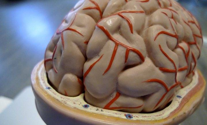 Zelf je hersenen gezond houden zolang er geen medicijn tegen dementie is