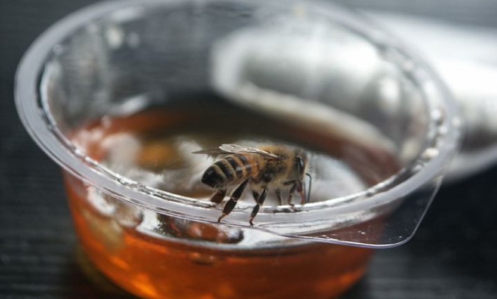 Microplastic nu ook in honing aangetroffen