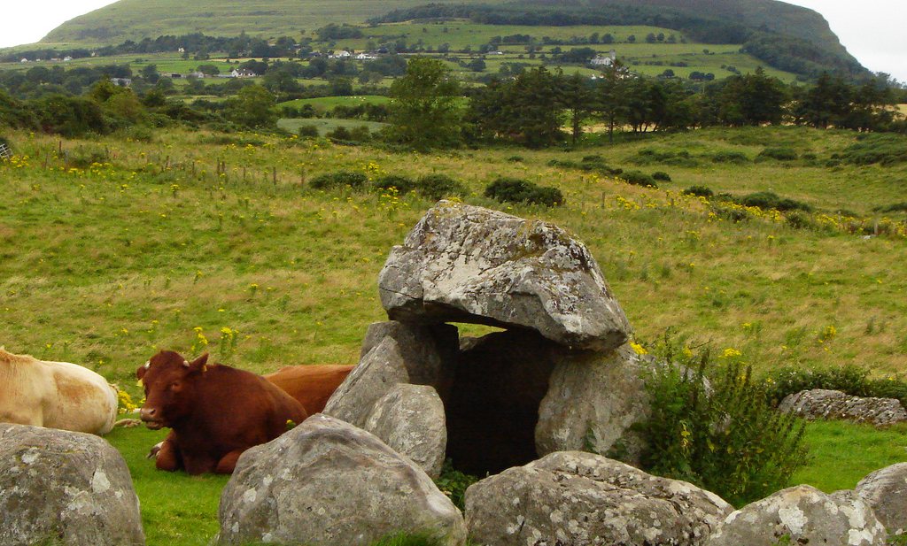 Ierland melkt al 6.000 jaar