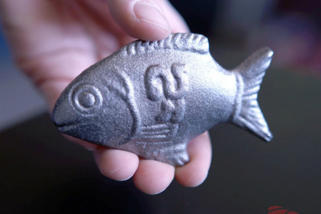 Revolutionair vervangen Terzijde IJzeren vis helpt tegen bloedarmoede - Foodlog