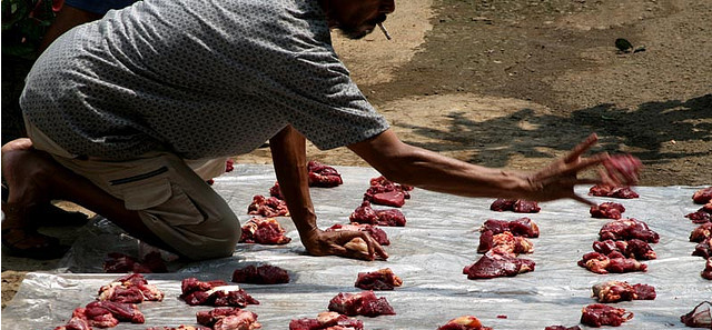 Indonesië krijgt eigen rundvlees niet op de rit