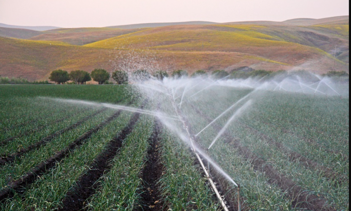 ‘Waterschaarste bedreigt 84% mondiale landbouw in 2050’