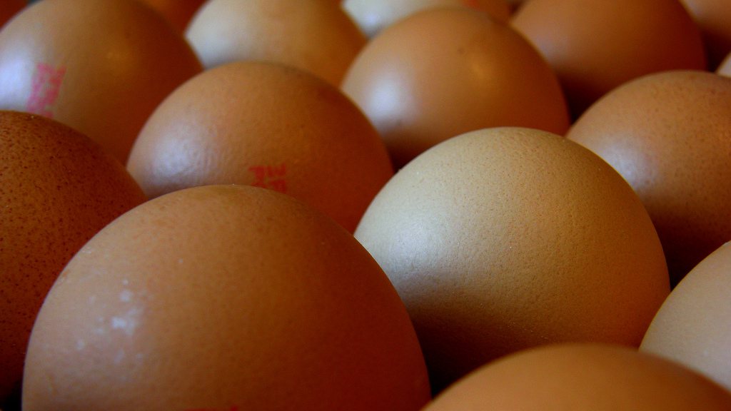 Franse voedselbanken krijgen fiscaal gesubsidieerde eieren voor Kerst