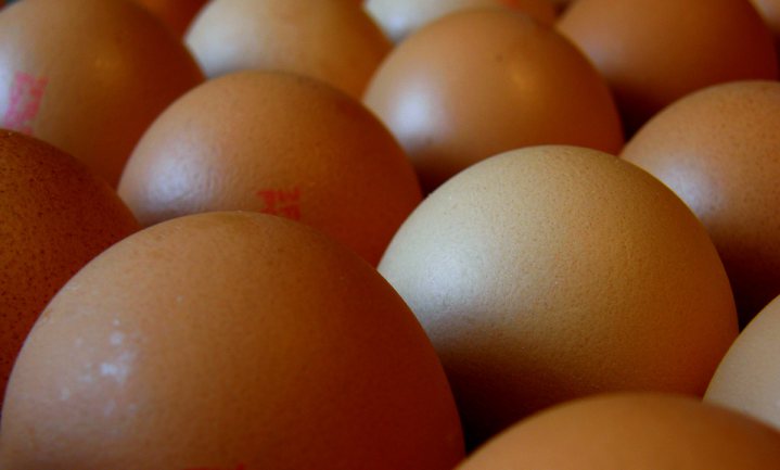 Franse voedselbanken krijgen fiscaal gesubsidieerde eieren voor Kerst