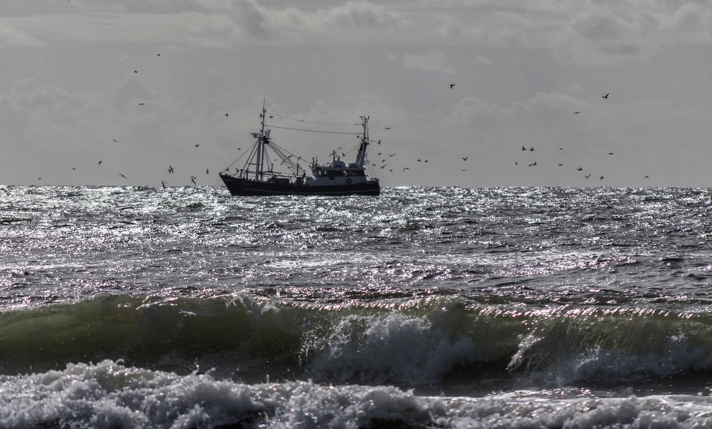 Nederlandse kottervissers kampen met snel oplopende verliezen