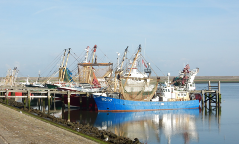 ABN AMRO verwacht krimp van 10-15% voor Nederlandse kottervloot