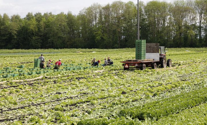 Boeren willen minister van Voedsel en Landschap