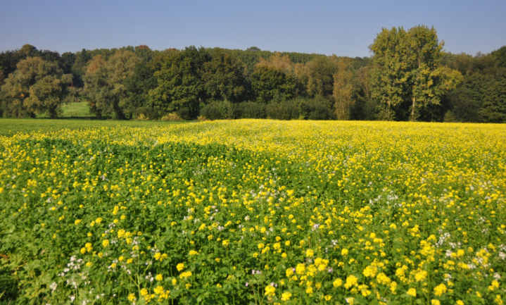 Agro-ecologie voor iedere Vlaamse boer