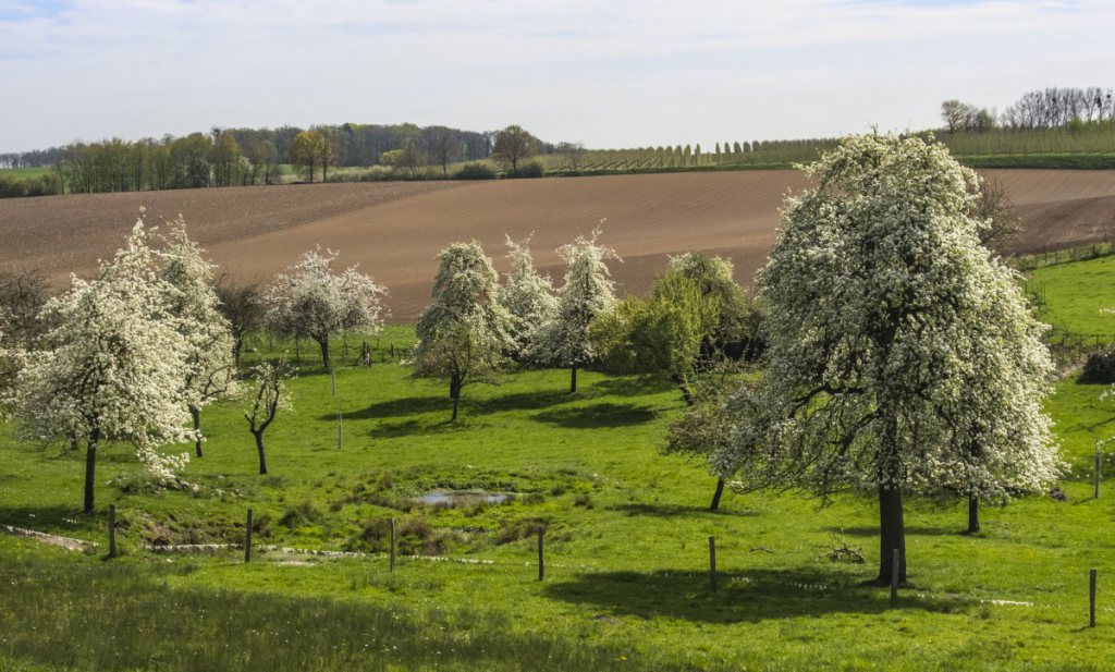 Belgische boerenvertegenwoordigers vinden supermarkt als landbouwgrondbezitter geen goed idee