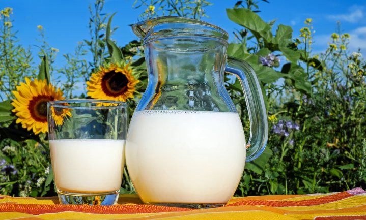 In Australië zijn volle melk en yoghurt en volvette kaas gezond voor het hart