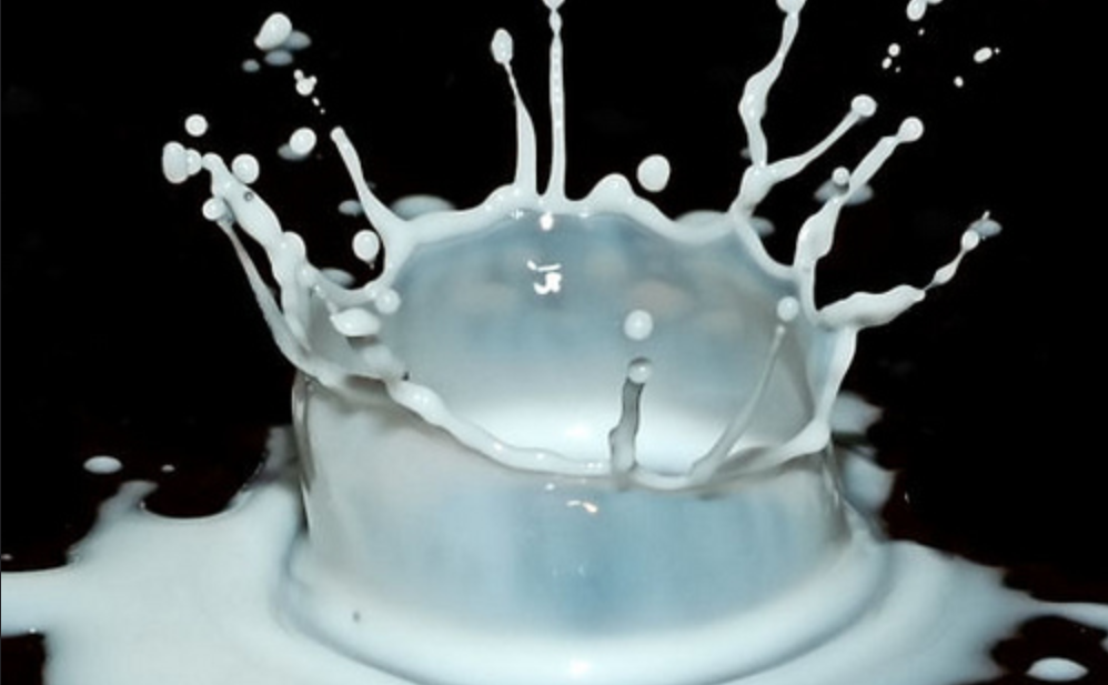 Opbrengst Nederlandse melk verder onder de kostprijs dan Franse
