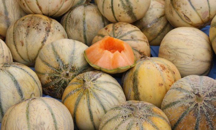 Parijs houdt niet van meloen in een koude septembermaand