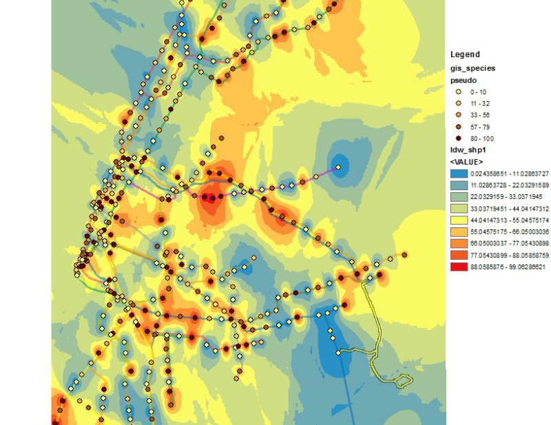 ‘Microbioom’ van New Yorkse metro in kaart gebracht