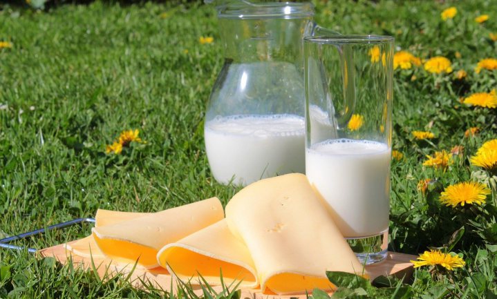 Nederland drinkt minder melk maar eet meer kaas