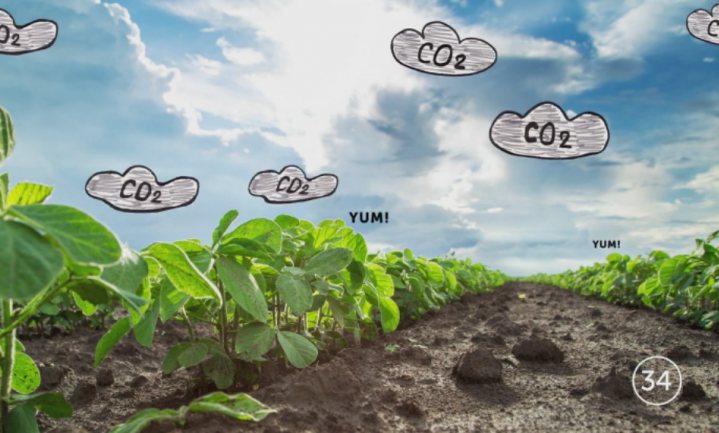 Monsanto wil bijdragen aan klimaatvraagstuk