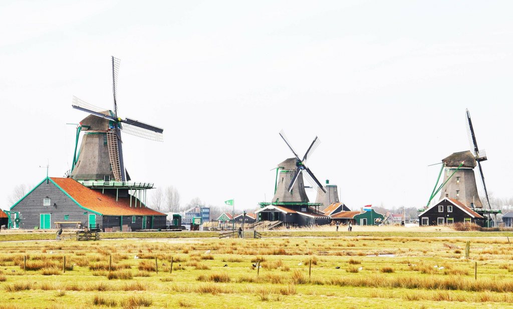 Nederland krijgt oorvijg van Europese beleidsmakers op het gebied van landbouw