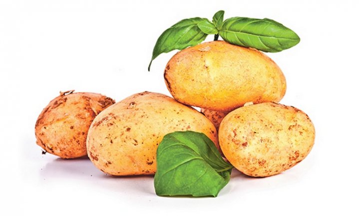 Culinair ontdekt: ‘Nieuw patatjes’