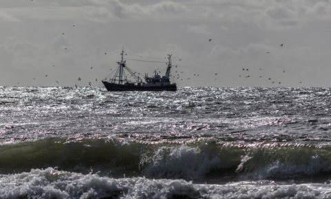 Noordzee te vol voor visserij