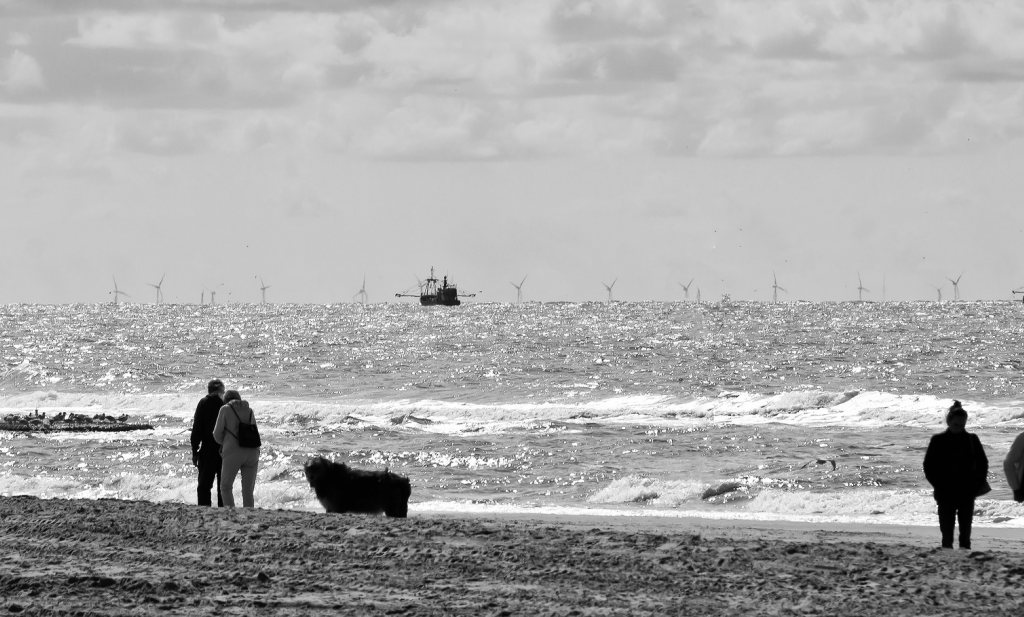 Noordzee in concept verdeeld tussen vissers, natuur en energiewinning