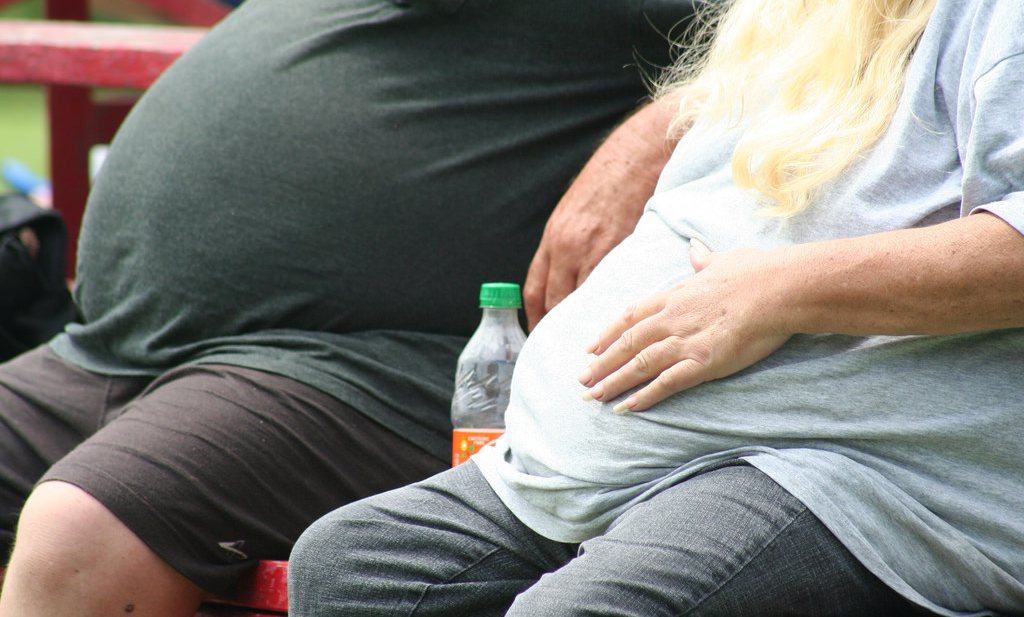 BoJo erkent obesitasprobleem, waterstof inefficiënt en burgers moet je kunnen straffen