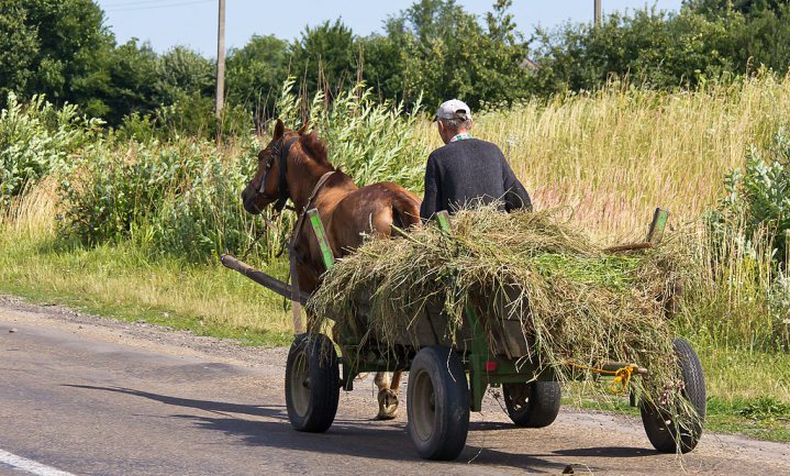 Kleine Oekraïense boeren goed voor helft agrarische productie