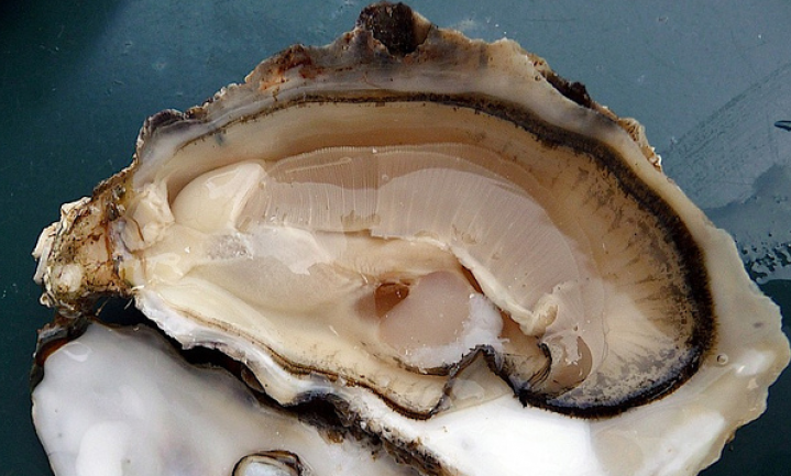 Culinair ontdekt: Het nieuwe oesterseizoen