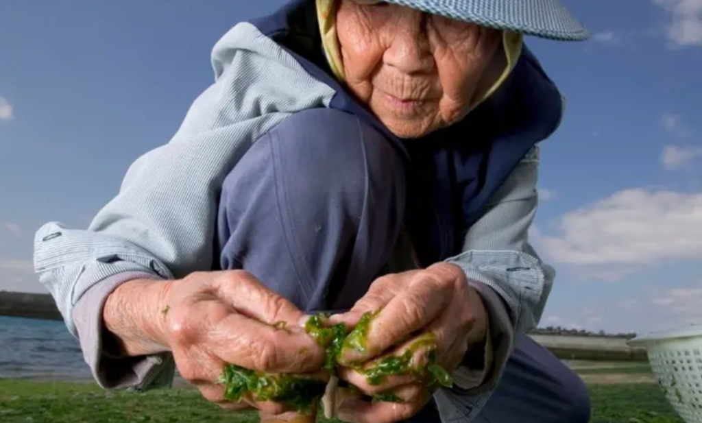 Waarom de inwoners van Okinawa niet meer zo oud worden