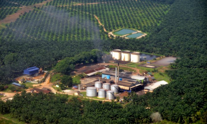Europa verwerkt meer palmolie in biobrandstof dan in voeding en cosmetica